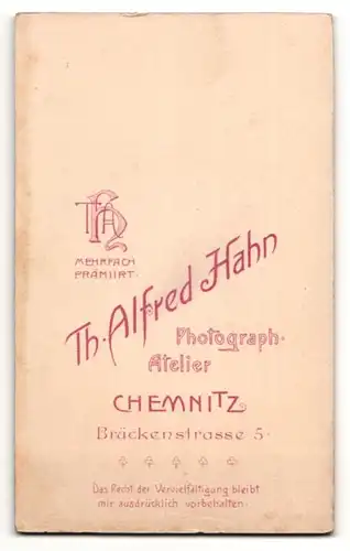 Fotografie Th. Alfred Hahn, Chemnitz, Portrait bürgerliche Dame in edler Bluse mit Ansteckblume