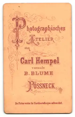 Fotografie Carl Hempel, Pössneck, Portrait Schnauzbärtiger Mann im Jacket