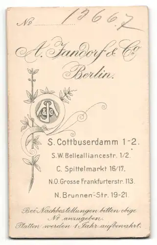 Fotografie A. Tandorf & Co., Berlin, Mann mit Vollbart und Brille