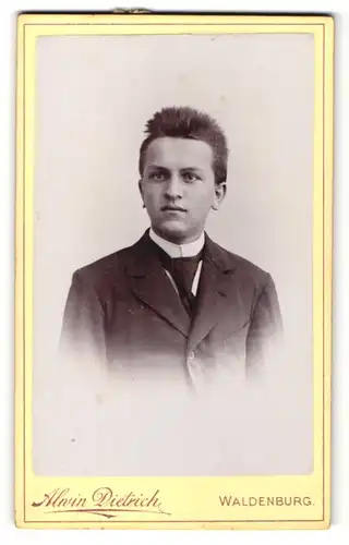 Fotografie Alwin Dietrich, Waldenburg, Portrait junger Herr mit Krawatte im Anzug