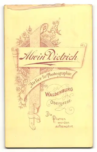 Fotografie Alwin Dietrich, Waldenburg, Portrait junger Herr mit Krawatte im Anzug