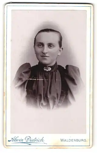 Fotografie Alwin Dietrich, Waldenburg, Portrait junge Dame mit zurückgebundenem Haar