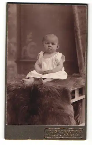 Fotografie Willibald Hartmann, Gross Schönau, Portrait Säugling in Leibchen