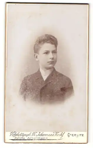Fotografie Julius Ackermann, Goerlitz, Junge in Anzug mit Stehkragen