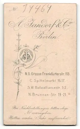 Fotografie A. Zandorf & Co., Berlin, Dame in hellem Kleid mit Spitze an dunklem Kragen