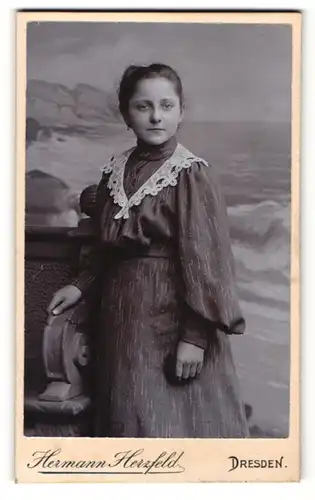 Fotografie Hermann Herzfeld, Dresden, Portrait bezauberndes Mädchen im hübsch besticktem Kleid