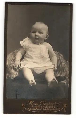Fotografie Max Hentschel, Dresden-Löbtau, Portrait süsses Baby im gerüschten Kleidchen
