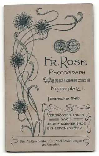 Fotografie Fr. Rose, Wernigerode, Portrait junger Mann in Anzug mit Fliege