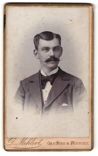 Fotografie D. Mehlert, Garding, Portrait stattlicher junger Mann mit Schnurrbart