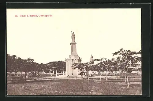 AK Concepción, Plaza Libertad