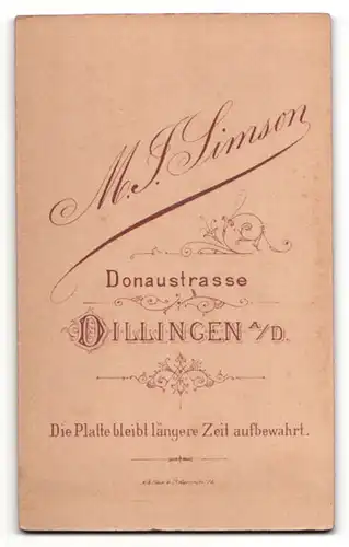 Fotografie M. J. Simson, Dillingen a. D., Dame in Kleid mit Brosche