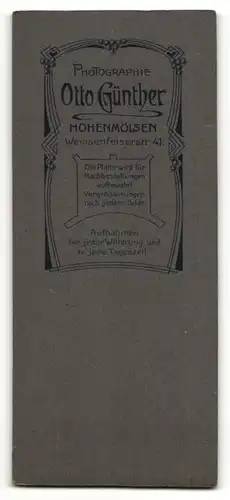 Fotografie Otto Günther, Hohenmölsen, Portrait Fräulein mit Hochsteckfrisur