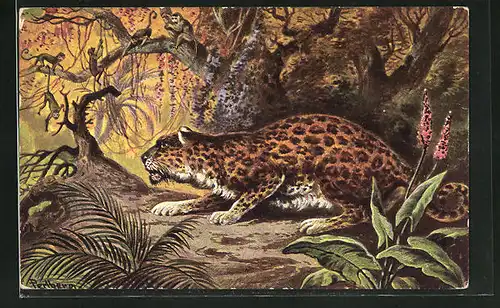 Künstler-AK Friedrich Perlberg: Leopard im Dschungel