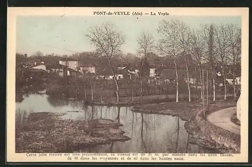 AK Pont-de-Veyle, La Veyle
