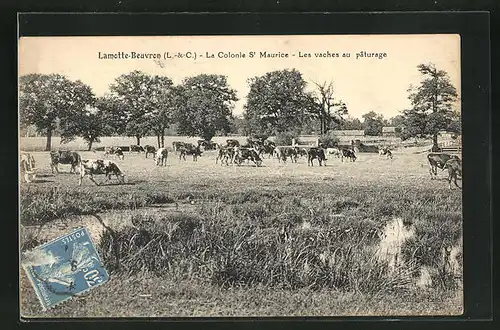 AK Lamotte-Beuvron, La Colonie St. Maurice, Les vaches au paturage