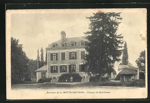 AK La Motte-Beuvron, Chateau de Bouchetau