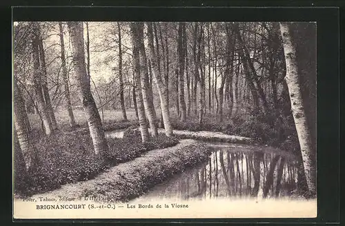 AK Brignancourt, Les Bords de la Viosne