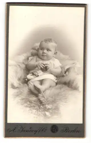 Fotografie A. Jandorf & Co., Berlin, Baby auf Pelz sitzend