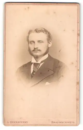 Fotografie A. Sternitzky, Braunschweig, Mann im Anzug mit Kotletten und Oberlippenbart