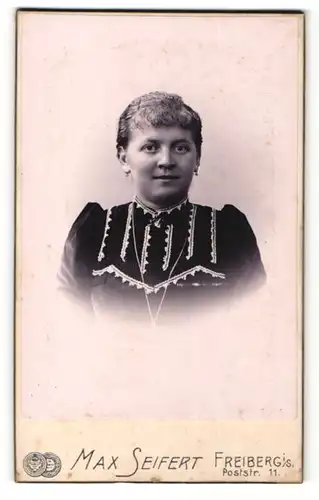 Fotografie Max Seifert, Freiberg i. S., Dame in dunklem Kleid mit hellen Stickereien
