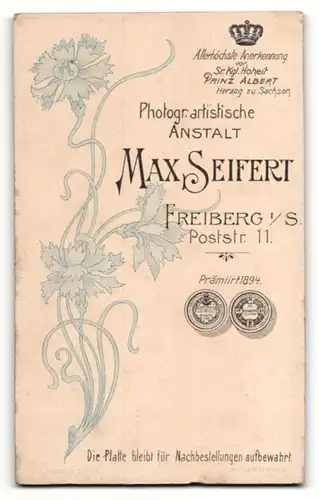 Fotografie Max Seifert, Freiberg i. S., Dame in dunklem Kleid mit hellen Stickereien
