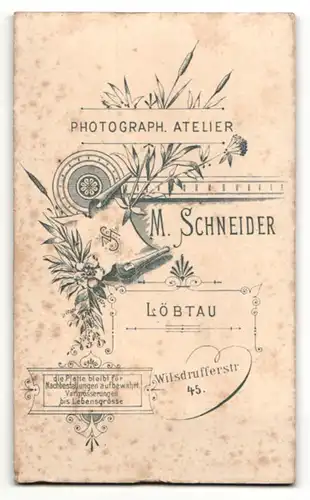 Fotografie M. Schneider, Löbtau, Mann im Anzug mit Fliege und Moustache Bart