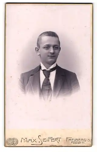 Fotografie Max Seifert, Freiberg i/S., junger Mann im Anzug mit breitem Binder und leichtem Lächeln