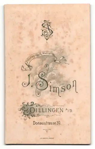 Fotografie J. Simson, Dillingen A/D., Mann mit Jacket und Binder und breitem Schnauzer