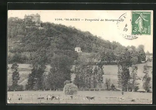 AK Saint-Remy, Propriete de Montgomery