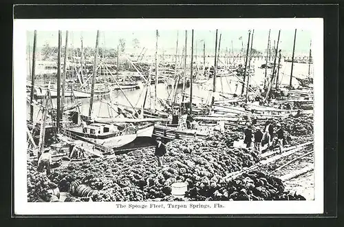 AK Tarpon Springs, FL, the Sponge Fleet