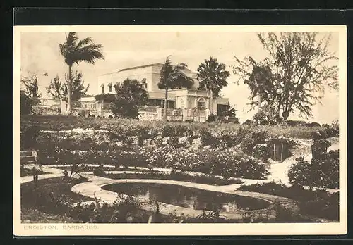 AK Erdiston / Barbados, Parkanlage mit Palmen