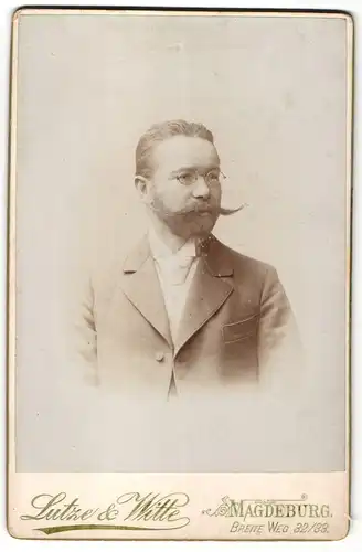 Fotografie Lutze & Witte, Magdeburg, Portrait bürgerlicher Herr mit Brille u. Bart im Anzug