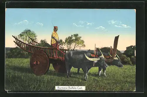 AK Burma, Burmese Buffalo Cart