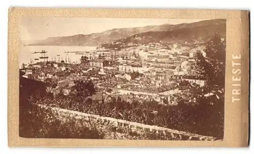 Fotografie Fotograf unbekannt, Ansicht Trieste, Panorama mit Hafen