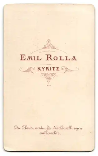 Fotografie Emil Rolla, Kyritz, Frau mit Brosche am Kragen und geflochtenen Haaren