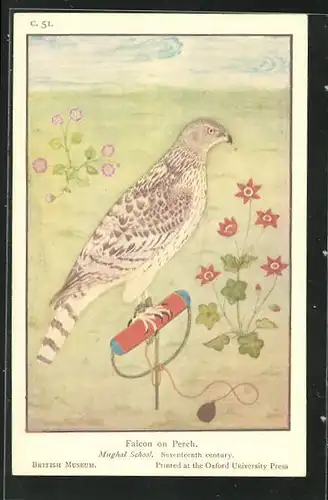 AK Falcon on Perch, Mughal School, Seventeenth century