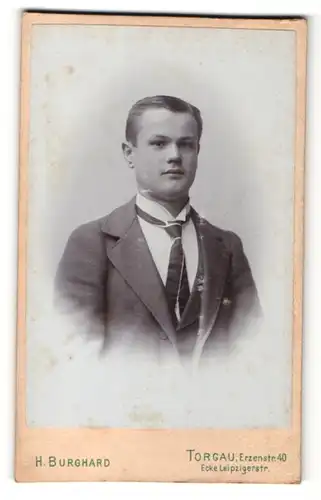 Fotografie H. Burghard, Torgau, Portrait charmant blickender junger Mann im Anzug