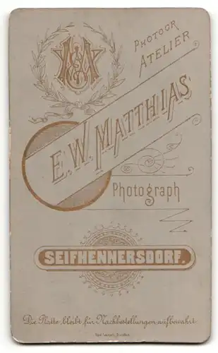 Fotografie E. W. Matthias, Seifhennersdorf, dünne Frau im Kleid mit Puffärmeln