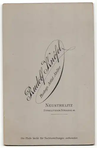 Fotografie Rudolf Knöfel, Neustrelitz, Portrait bürgerliches Paar in modischer Kleidung