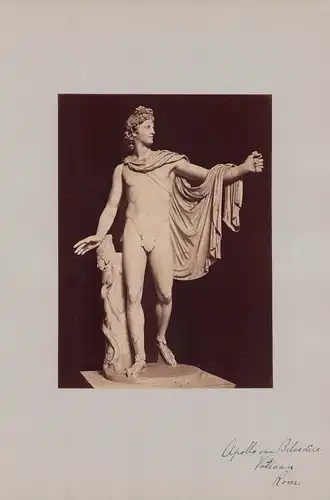 Fotografie Fotograf unbekannt, Ansicht Vatikanstadt, Skulptur Apollo von Belvedere, Grossformat 31 x 42cm