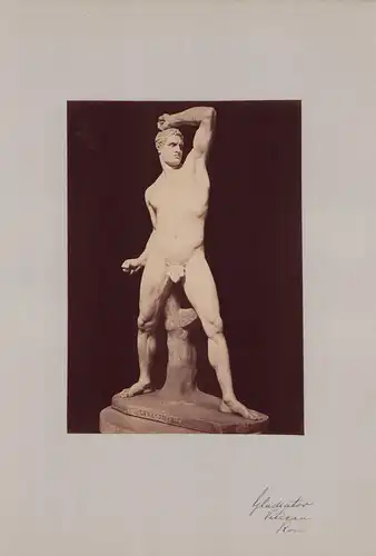 Fotografie Fotograf unbekannt, Ansicht Vatikanstadt, Skulptur Gladiator im Vatikanmuseum, Grossformat 31 x 42cm