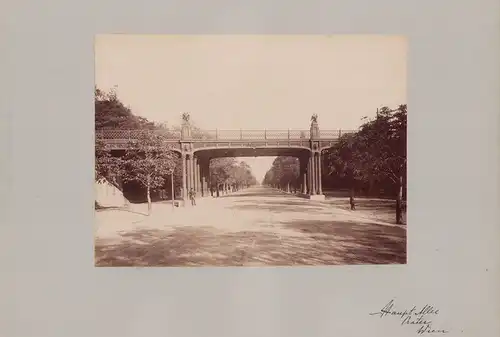 Fotografie Fotograf unbekannt, Ansicht Wien, Prater - Hauptallee, Grossformat 42 x 31cm