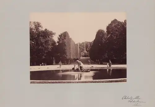 Fotografie Fotograf unbekannt, Ansicht Wien-Schönbrunn, Allee im Schlosspark mit Obelisk & Brunnen, Grossformat 42 x 31cm