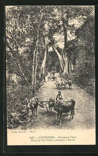 AK Kompong-Cham, Route de Vat-Nokor, Rindergespanne