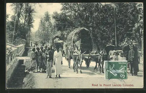 AK Colombo, Road to Mount Lavinia, Ochsengespann