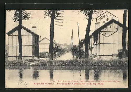 AK Migennes-Laroche, L`Avenue des Marronniers
