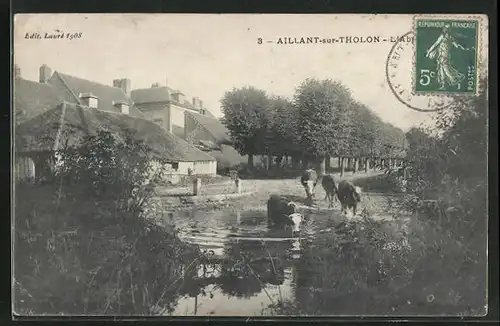 AK Aillant-sur-Tholon, Ortspartie