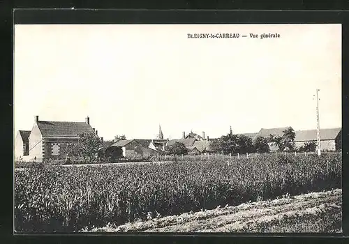 AK Bleigny-le-Carreau, Vue generale