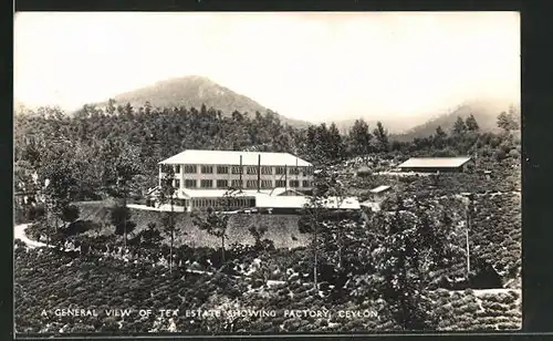 AK Ceylon, A general view of tea estate showing factory