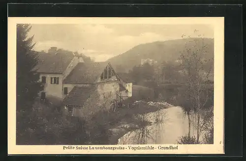 AK Luxemburg, Vogelmühle, Grundhof